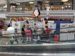 FDD 2009