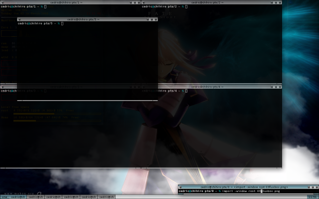 Un peu de transparence avec urxvt